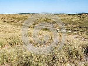 Cycle path and beachgrass in dunes of West Frisian island Vlieland, Friesland Netherlands photo