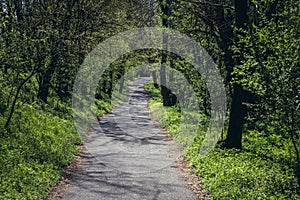 Bike path in Slovakia