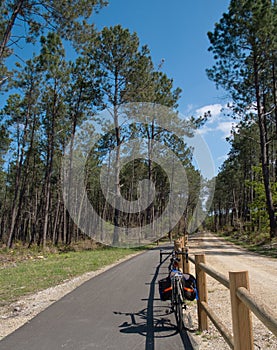 Cycle Path, Landes, France 2