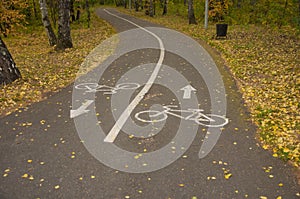 Cycle path with road signs in the woods