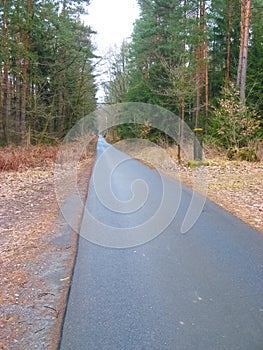 Cycle route in Saxony at Upper Lusatia