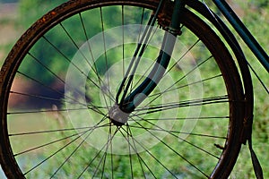 Cycle spokes