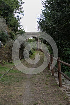 Cycle touring route along the banks of the river Sil