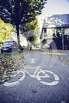 Cycle track, autumn, bike symbol on the floor