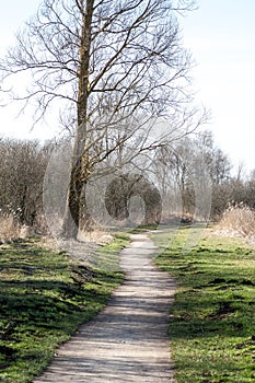 Cycle track through nature reserve