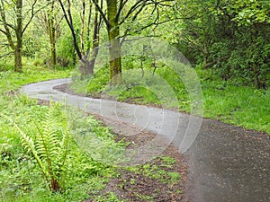 Cycle and walk path at Newshot nature reserve in Erskine