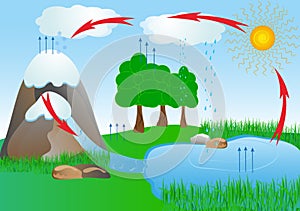 Ciclo Acqua natura ambiente. ossigeno 