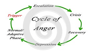 Cycles of anger