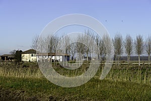 Cycleway along Naviglio di Bereguardo, Pavia province