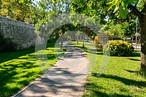 Cycleway a ground bikeway for cyclists. Bike lane between trees in Turia Garden in Valencia Spain