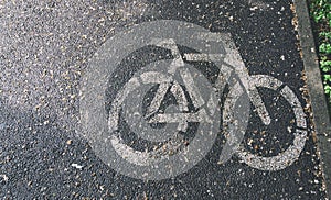 The cycleway between the trees photo