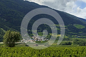 Cycleway of the Venosta valley, Oris