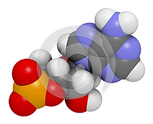 Cyclic adenosine monophosphate (cAMP) second messenger molecule, 3D rendering. Atoms are represented as spheres with conventional