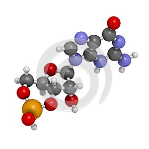 Cyclic guanosine monophosphate (cGMP) molecule. Important second messenger, produced by guanylate cyclase, broken down by