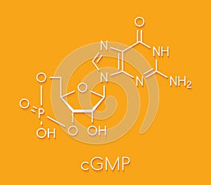 Cyclic guanosine monophosphate (cGMP) molecule. Important second messenger, produced by guanylate cyclase, broken down by