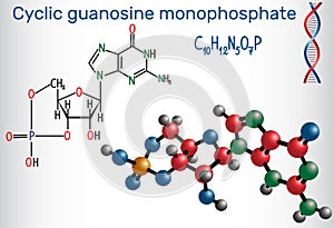 Cyclic guanosine monophosphate cGMP molecule. It is a nucleot