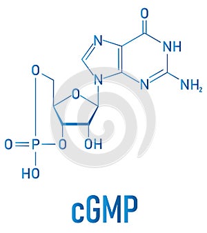 Cyclic guanosine monophosphate or cGMP molecule. Skeletal formula.