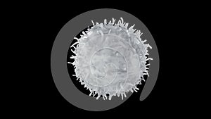 The cyclic rotation of leukocytes with alpha channel.