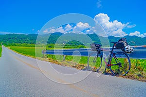 Cycling along the rice fields
