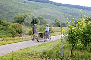 Cycling along vineyards on the Moselle, Germany