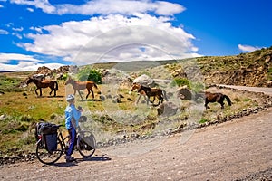 Cycling through argentinian countryside