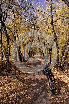 Cycling in autumn Russia