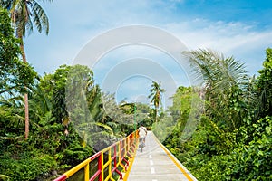 Cycling in Bang Krachao, known as the Green Lung of Bangkok