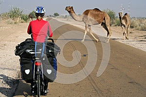 Cycling Through Desert