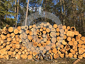 Cycling through a forest bike againts massive pile of timber wood. MTB biking abstract