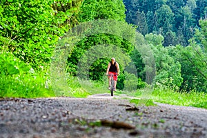 Cycling in forest on bike trial