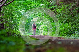 Cycling in forest on bike trial