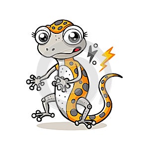Cycling Gecko in an Invigorated State