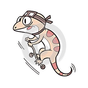 Cycling Gecko in an Invigorated State