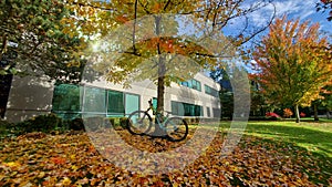 Cycling is a good exercise in fall- a bicycle under a maple tree