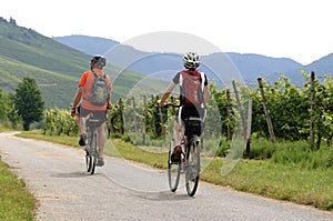 Cycling holiday along vineyards on the river Moselle