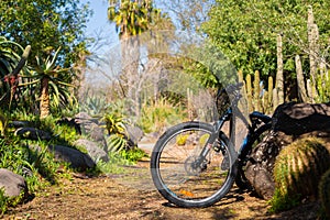 Cycling through the park in a bright climate. The bike is parked in the jungle