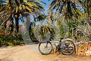 Cycling through the park in a bright climate. The bike is parked in the jungle