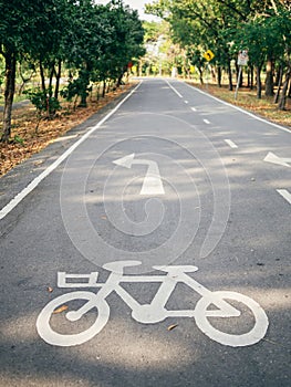 cycling path in the park. bicycle traffic sign painted on the floor