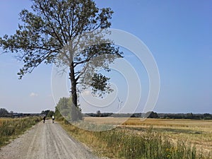 Cycling path in rural Poland