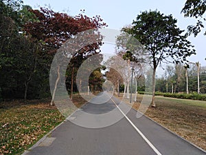 Cycling pathway and walkway in East Coast Park