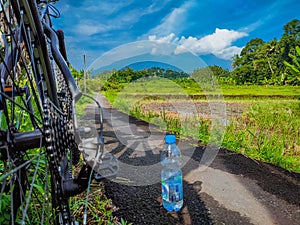 Cycling in the rice fields