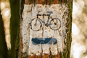Cycling trail