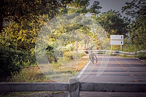 Cycling trail with trees along the way