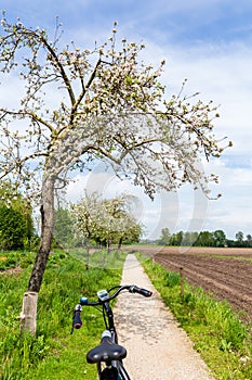 Cycling trip in The Netherlands