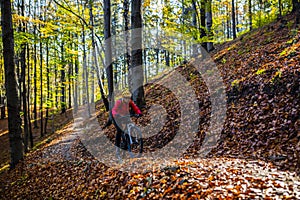 Cycling woman riding on bike in autumn forest landscape. Woman cycling MTB flow trail track. Outdoor sport activity