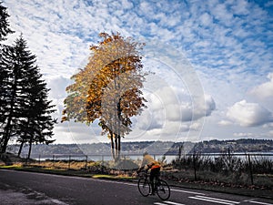 Cyclist Along The Sound