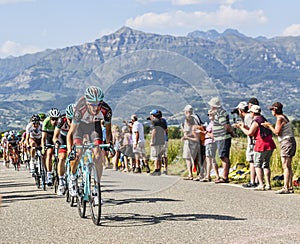 The Cyclist Andy Schleck