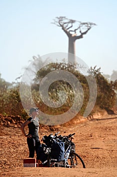 Cyclist and baobabs