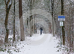 Cyclist biking on a fully in white snow covered road, cycling in a snowy forest landscape