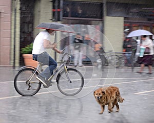 Cyclist on the city roadway in motion blur in rainy day
